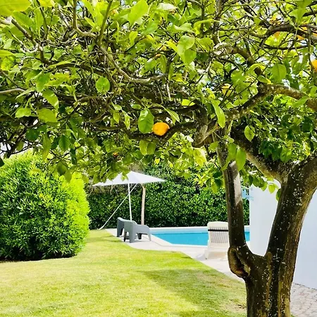 ヴィラ Strip By Check-in Portugal *