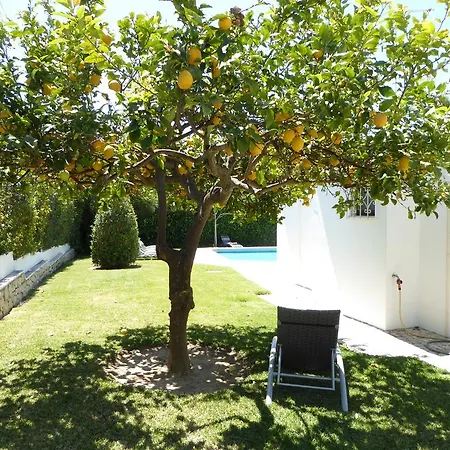 Villa Strip - Private Pool - 12 Guests -